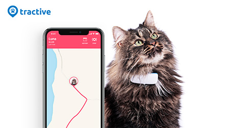 Tractive - GPS CAT 4 - Collier GPS pour chat avec suivi d'activité