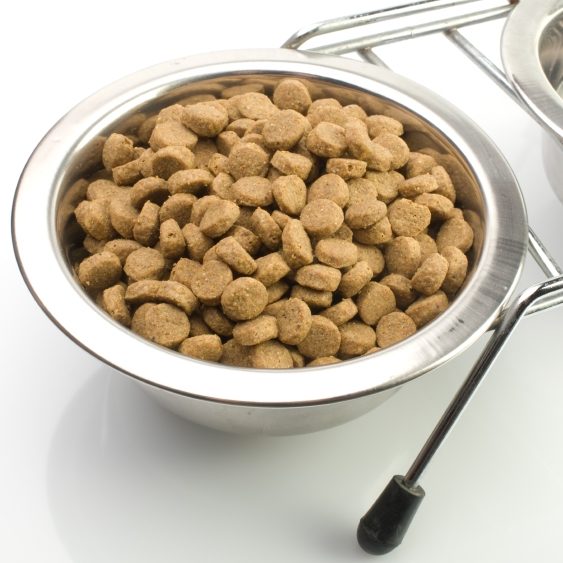 Comment conserver les aliments de mon chien ou de mon chat ? - WanimoVéto